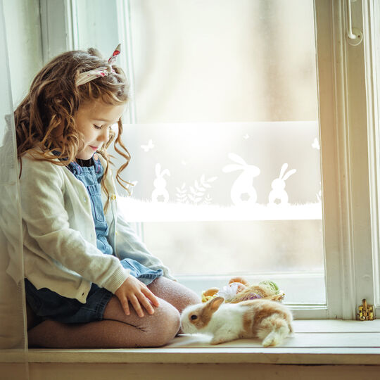 Fensterfolie static window border Lovely Rabbits image number null